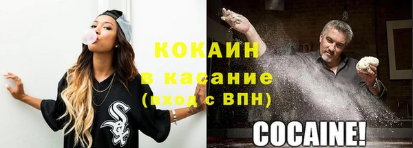 бошки Горняк