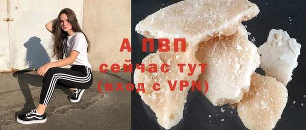 амф Гусиноозёрск