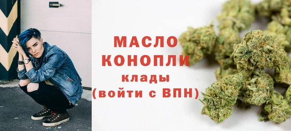 амф Гусиноозёрск