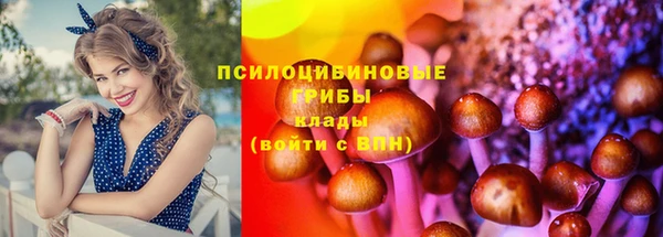 меф Горно-Алтайск