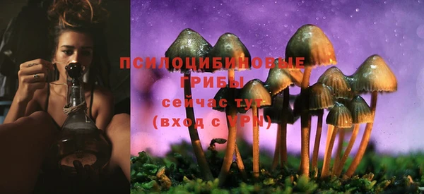 бошки Горняк
