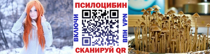 нарко площадка как зайти  продажа наркотиков  Малоярославец  Галлюциногенные грибы Psilocybe 